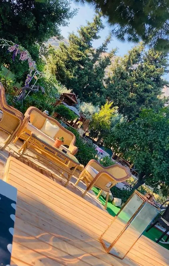穆尔塞裴森花园酒店 库萨达斯 0*,  土耳其